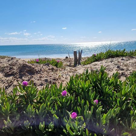 Le Cap d'Agde Grand T2 de standing avec box Village NATURISTE Buitenkant foto