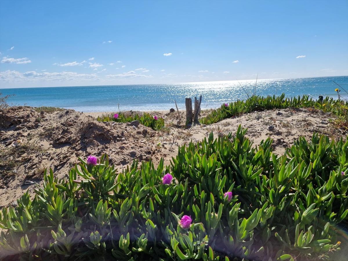 Le Cap d'Agde Grand T2 de standing avec box Village NATURISTE Buitenkant foto